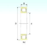 105 mm x 190 mm x 36 mm  ISB NJ 221 Rodamientos De Rodillos