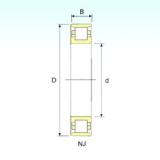 25 mm x 52 mm x 15 mm  ISB N 205 Rodamientos De Rodillos