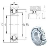 15 mm x 35 mm x 11 mm  INA BXRE202-2Z Rodamientos De Agujas