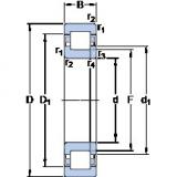 30 mm x 72 mm x 19 mm  SKF NUP 306 ECP Cojinetes De Bola